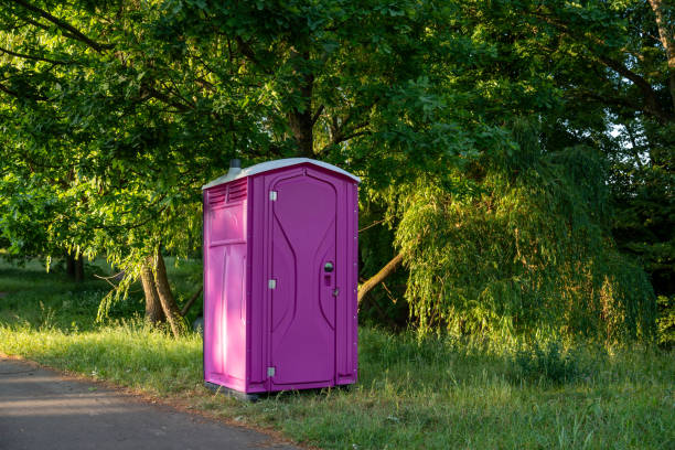 Best Sanitation services for porta potties  in Lake Tansi, TN